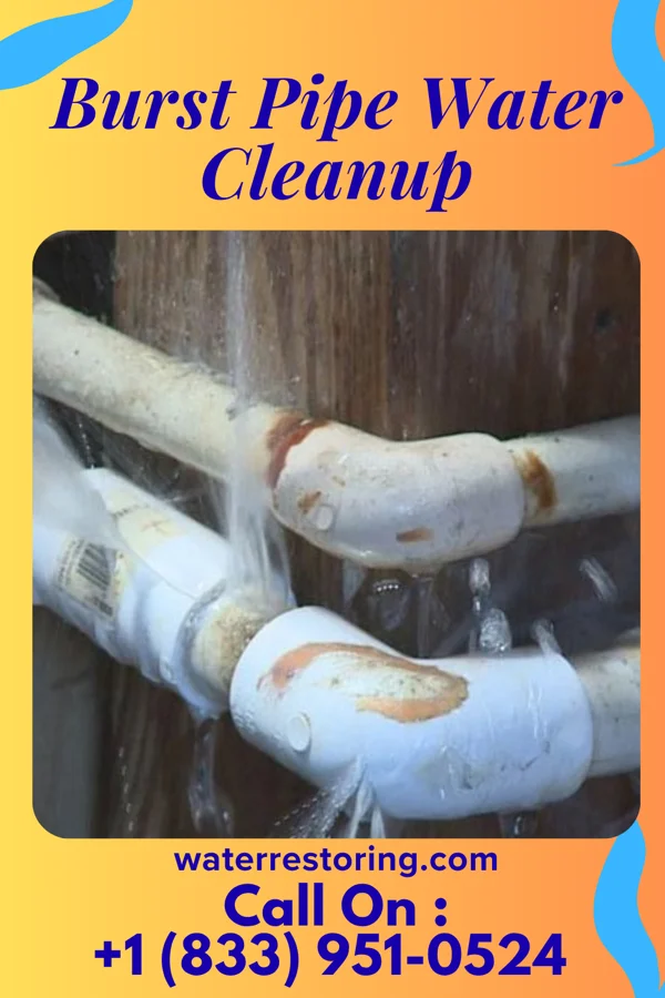 Burst Pipe Water Cleanup in Twin Rivers, NJ