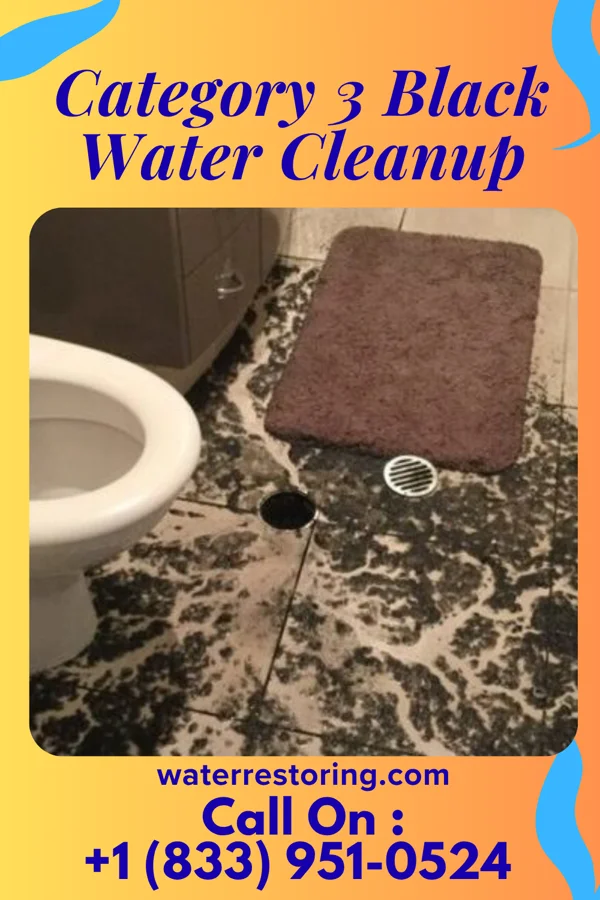 Category 3 Black Water Cleanup in Twin Rivers, NJ