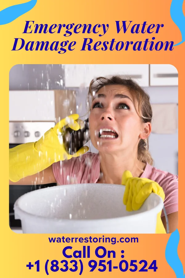Emergency Water Damage Restoration in Twin Rivers, NJ