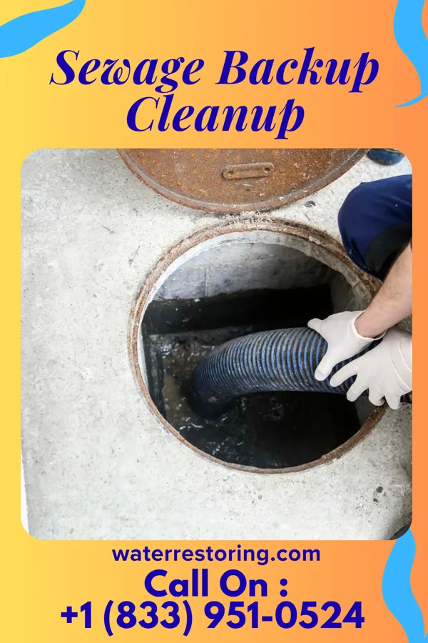 Sewage Backup Cleanup in Twin Rivers, NJ
