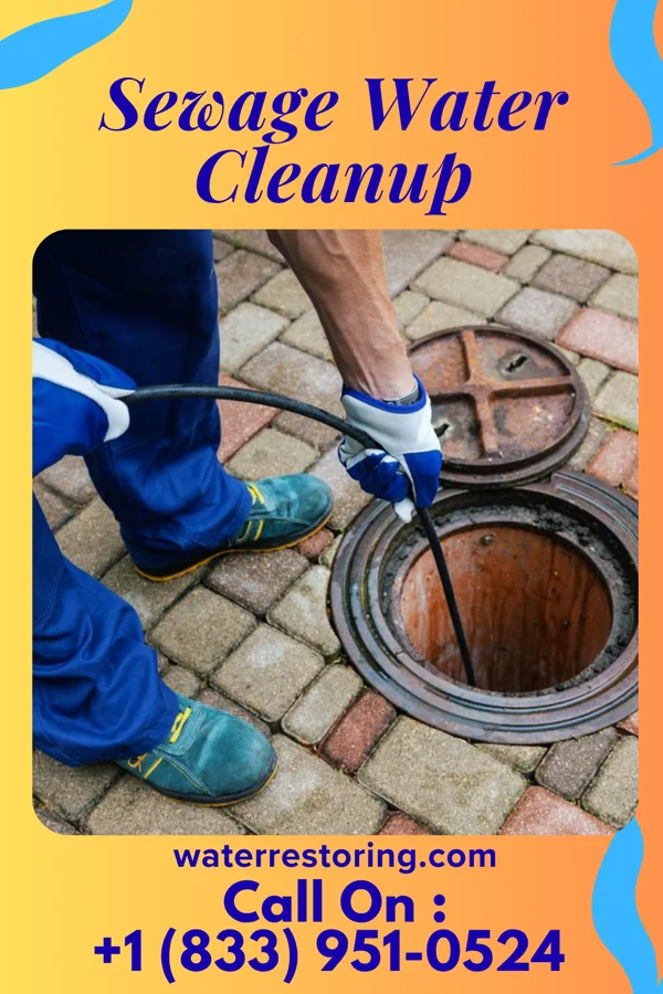 Sewage Water Cleanup in Twin Rivers, NJ